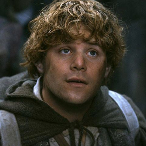 Samwise Gamgee